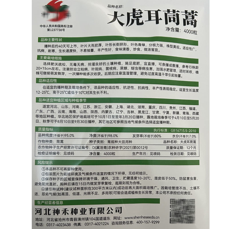 大虎耳茼蒿种子大叶茼蒿籽皇帝菜4000粒春秋种植基地型