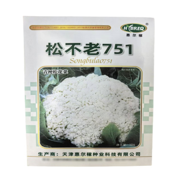 松不老751青梗松花菜种子春秋兼用松花菜种子早熟惠尔稼