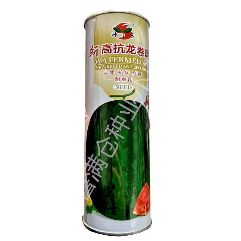 新高抗龙卷风大西瓜种子800粒高糖耐重茬抗病强皮薄抗裂