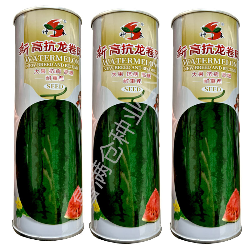 新高抗龙卷风大西瓜种子800粒高糖耐重茬抗病强皮薄抗裂