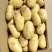 【荷兰十五土豆】山东基地直供质量保证一手货源对接商超