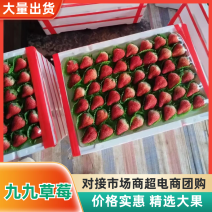 99草莓上市中红颜草莓九九草莓河北保定草莓基地直发价格实惠