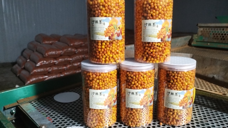 山西沙棘冻果糖15杂质3货量大干净色选过筛都是好果承接加工