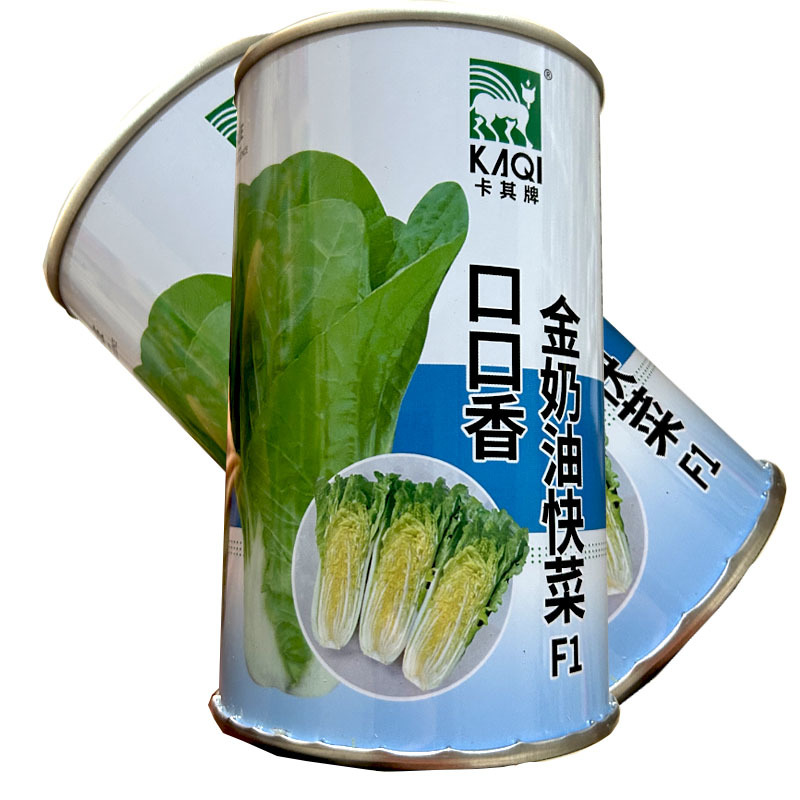 口口香奶油快菜种子生长快耐热耐寒黄芯叶片厚四季种植