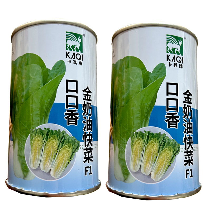 口口香奶油快菜种子生长快耐热耐寒黄芯叶片厚四季种植