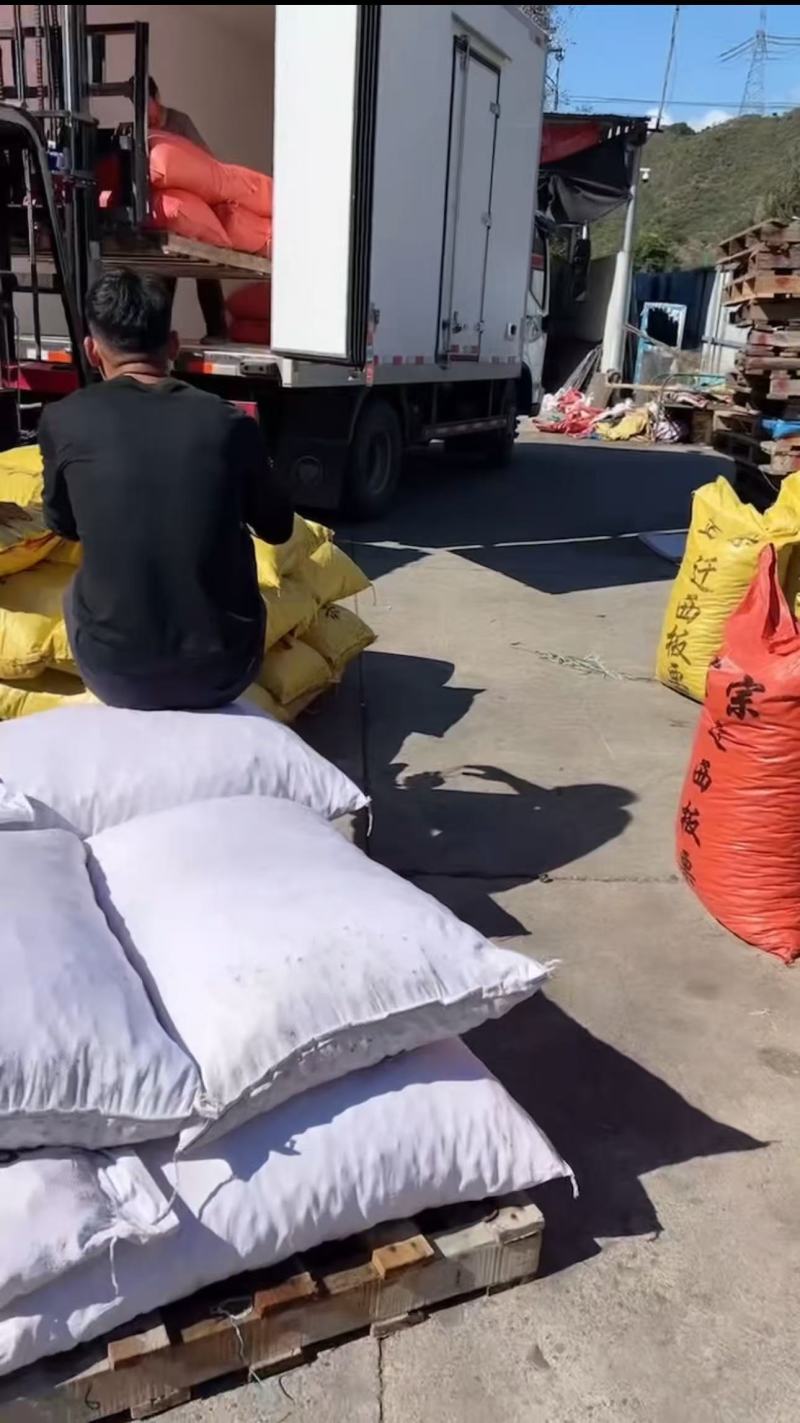 【热卖】正宗迁西板栗产地直发规格齐全软糯香甜欢迎电联