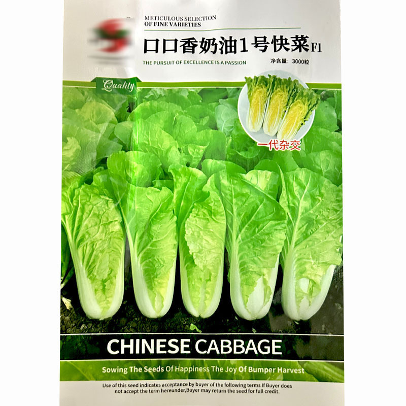 四季快菜种子小白菜籽耐热耐湿500g大田基地品种