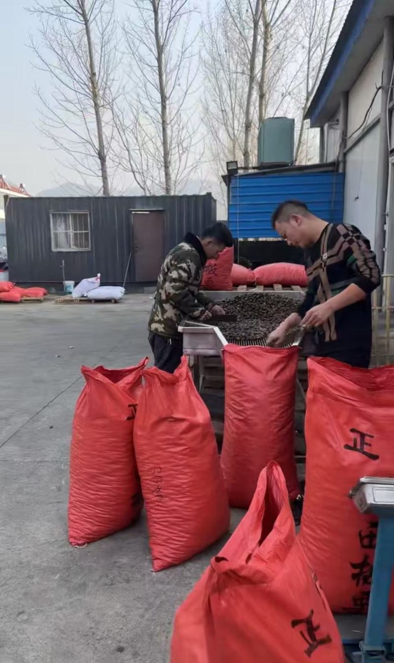 【热卖】正宗迁西板栗产地直发规格齐全软糯香甜欢迎电联