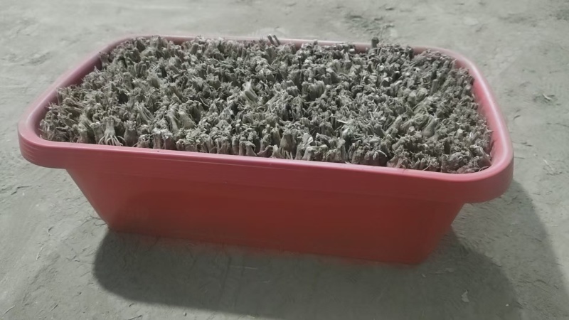 四季小叶韭菜盆景韭菜基地直发提供技术指导可视频