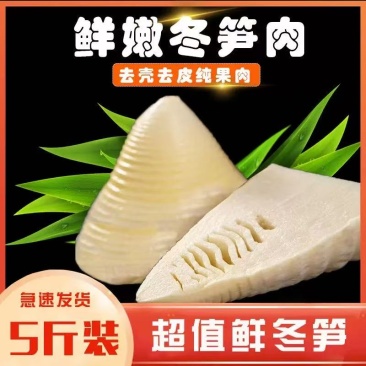 江西新鲜冬笋2025年黄泥高山现挖竹笋时令蔬菜火锅食材