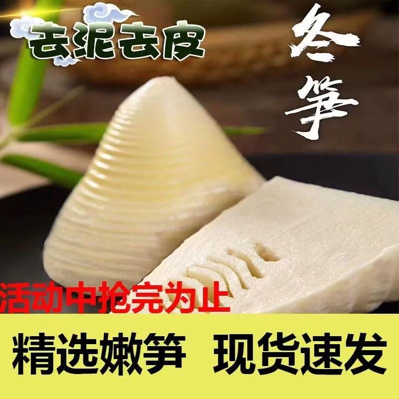 江西新鲜冬笋2025年黄泥高山现挖竹笋时令蔬菜火锅食材