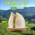 江西新鲜冬笋2025年黄泥高山现挖竹笋时令蔬菜火锅食材