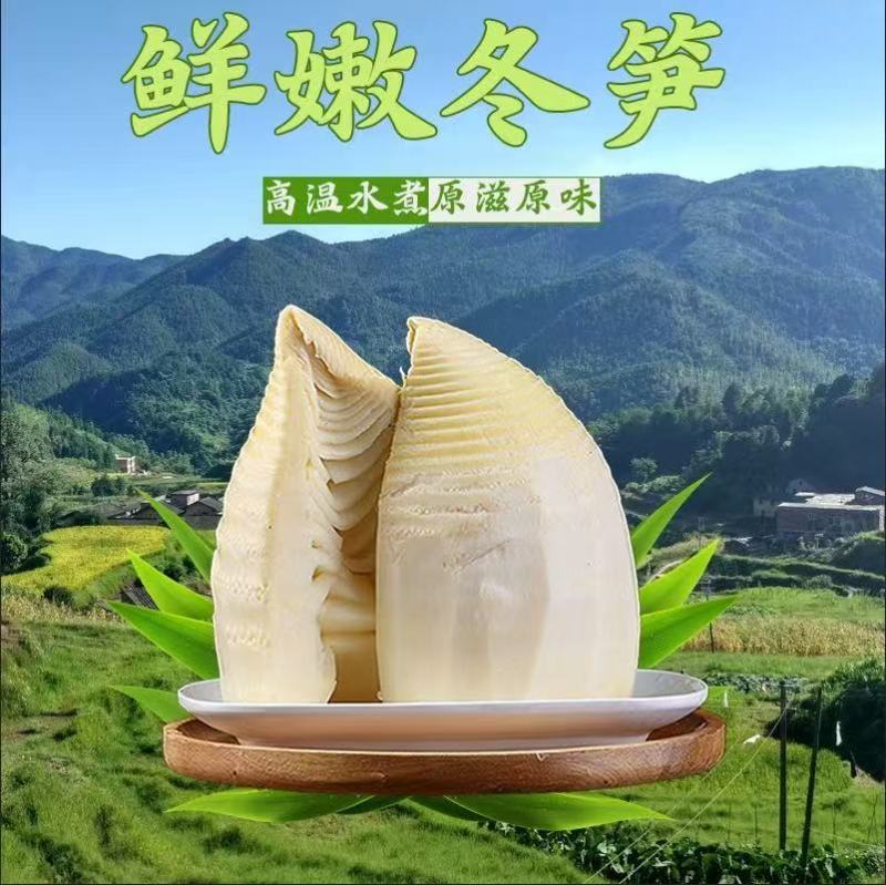 江西新鲜冬笋2025年黄泥高山现挖竹笋时令蔬菜火锅食材