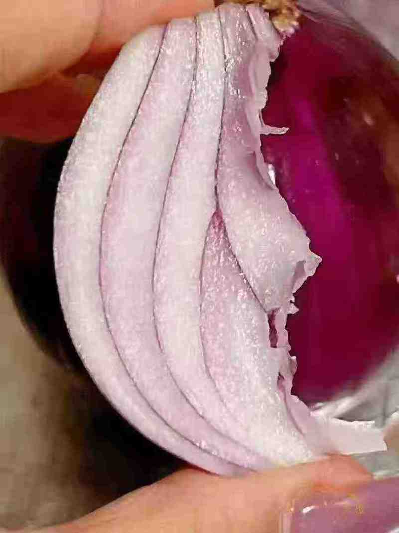 山东精品洋葱大量上市产地直发价格优惠对接商超电商社区团购