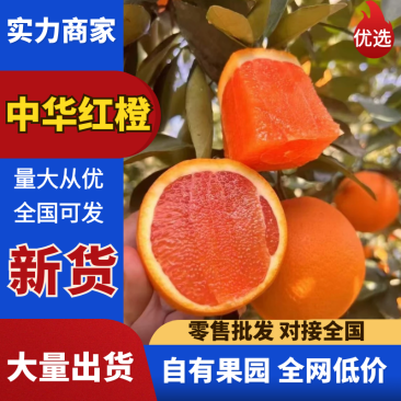【推荐】中华红橙宜昌中华血橙果园直采按需包装