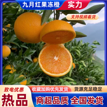 【精选】九月红脐橙秭归九月红橙子皮薄多汁量大优惠
