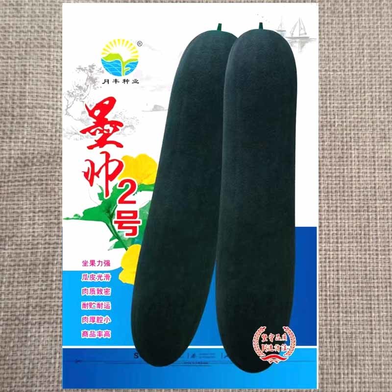 墨帅2号黑皮冬瓜种子长炮弹形深墨绿皮冬瓜种籽大田基地用