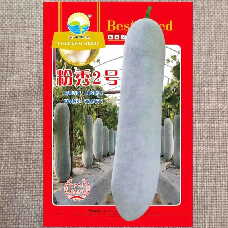 粉秀2号长冬瓜种子长圆柱形粉皮大冬瓜种子肉厚腔小基地种植
