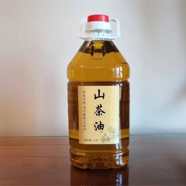 山茶油一手货源保质保量供货批发零售