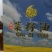 厂家批发菜籽油真空保鲜欢迎电话咨询