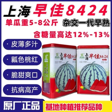 上海早佳8424西瓜种子麒麟西瓜种籽早熟高产薄皮冰糖西瓜