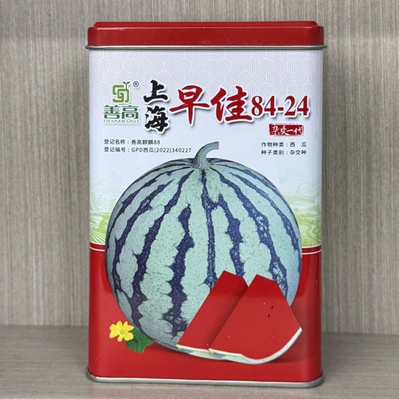 上海早佳8424西瓜种子麒麟西瓜种籽早熟高产薄皮冰糖西瓜
