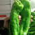 辣椒，泡椒，螺丝椒，芜湖椒，线椒产地，诚信经营，保质保量