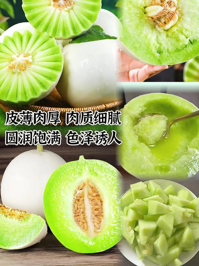 玉菇甜瓜基地一手货源全国发货保质保量可视频看货