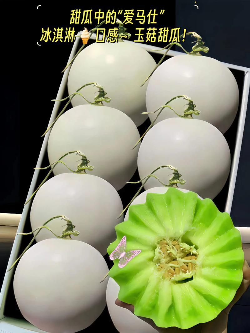 玉菇甜瓜基地一手货源全国发货保质保量可视频看货