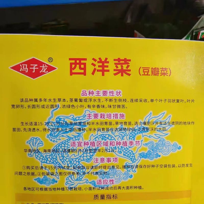 西洋菜种子豆瓣菜种子基地大田高产多年