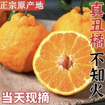 丑橘不知火柑桔基地直供量大从优供全国商超
