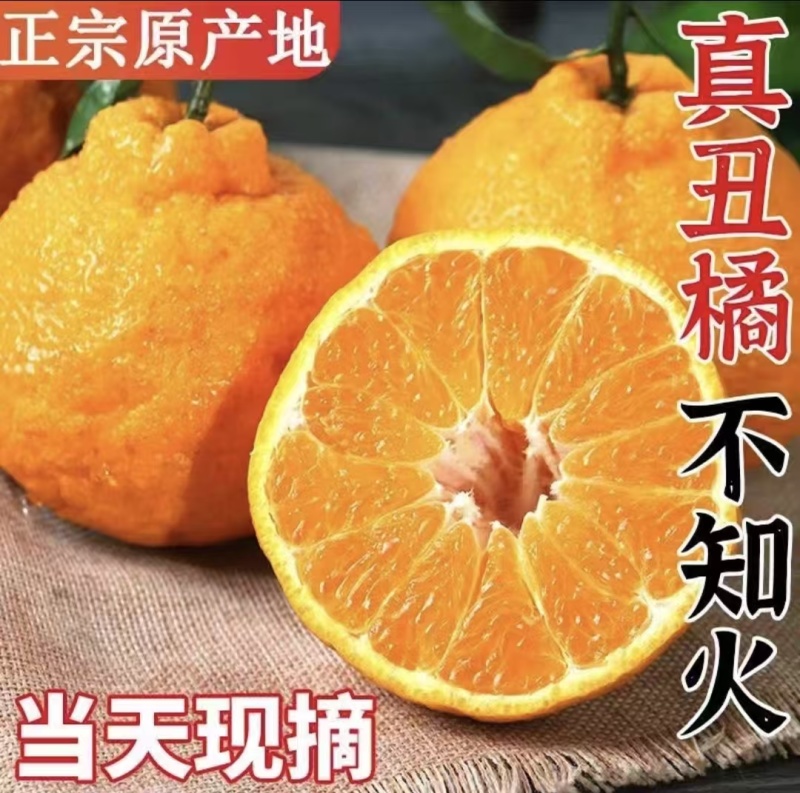 丑橘不知火柑桔基地直供量大从优供全国商超