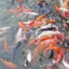 徐海荣的一亩田店铺