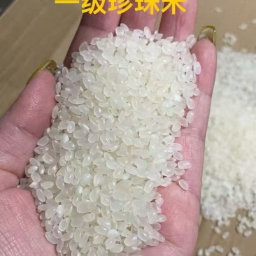 东北大米精品珍珠米厂家直发对接电商市场商超