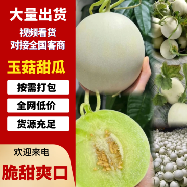 玉菇甜瓜基地一手货源全国发货保质保量可视频看货