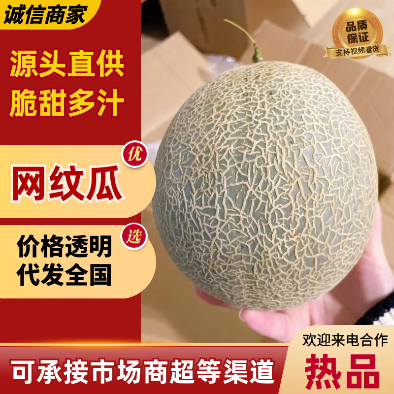海南哈密瓜精品网纹瓜一手货源对接电商市场商超