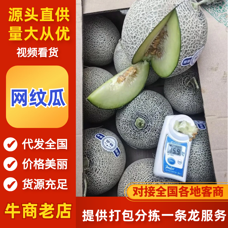 海南网纹瓜对接电商市场商超可视频看货保质保量