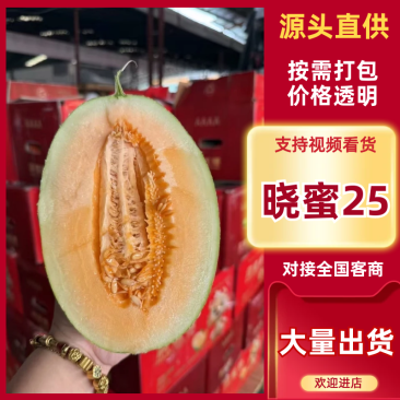海南哈密瓜精品晓蜜25哈密瓜对接电商市场商超可视频