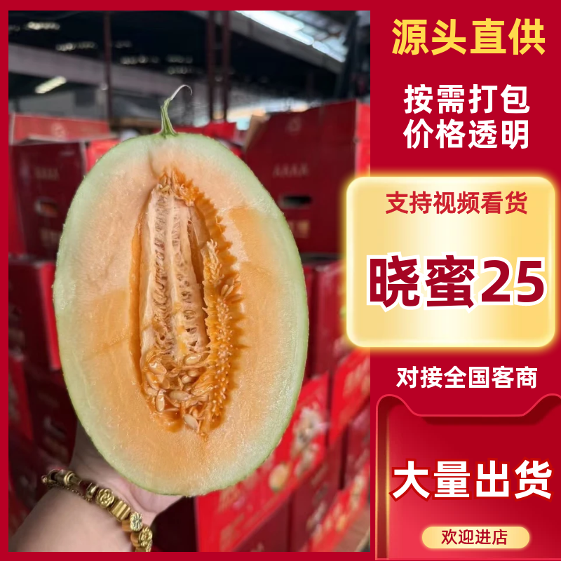 海南哈密瓜精品晓蜜25哈密瓜对接电商市场商超可视频