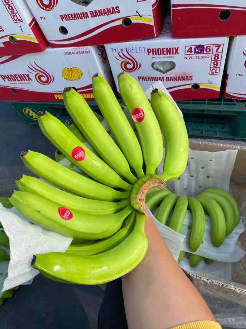 元阳香蕉大量供应/对接市场商超水果店/规格齐全/量大从优
