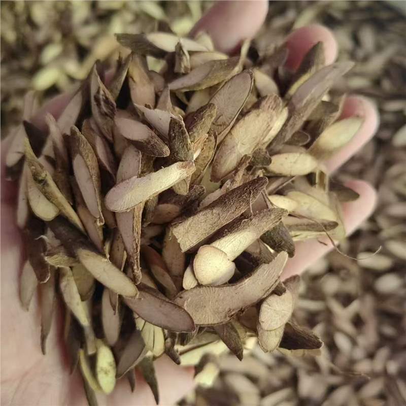 千斤拔中药材批发千金拔代磨粉老鼠尾吊千金拔千斤拔