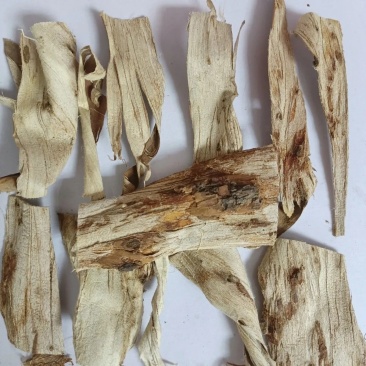 榆树皮刨花榆树皮内皮刨花片榆树皮刨花榆树皮刨花