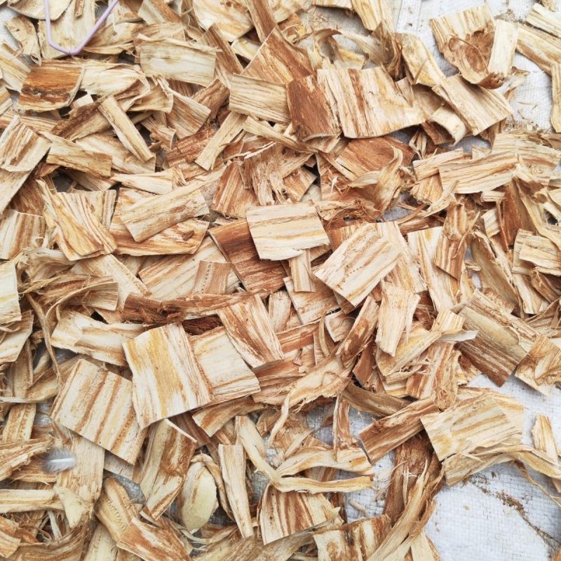 榆树皮刨花榆树皮内皮刨花片榆树皮刨花榆树皮刨花