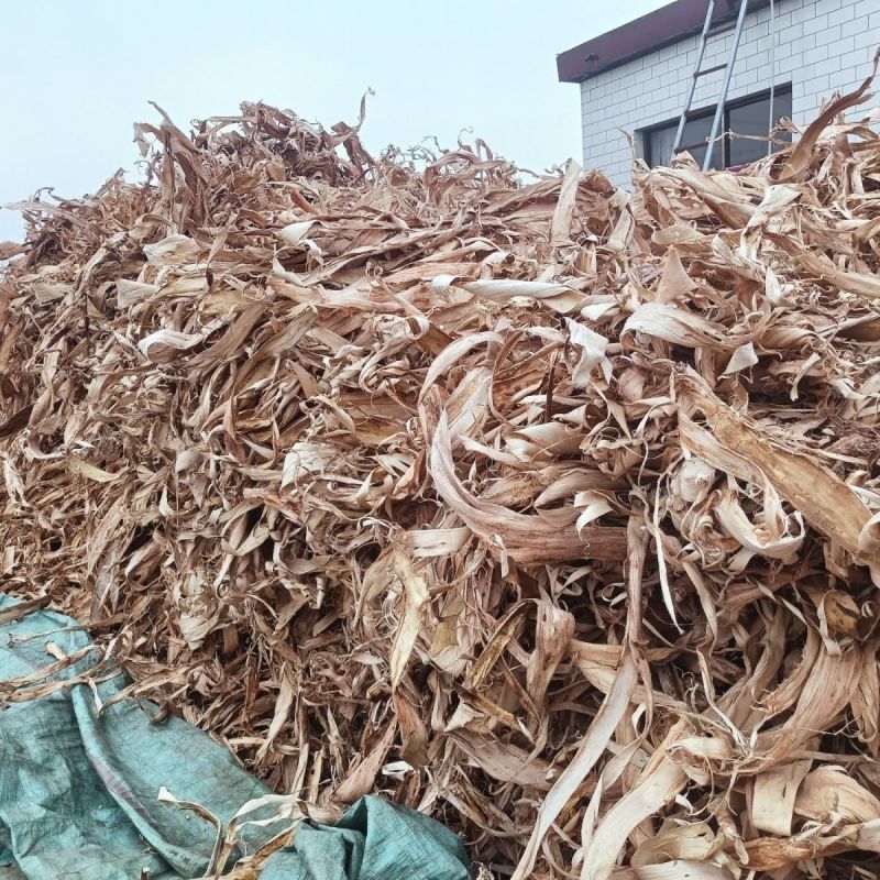 榆树皮刨花榆树皮内皮刨花片榆树皮刨花榆树皮刨花