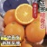 广西精品脐橙纽荷尔脐橙基地直供量大从优实力代发全