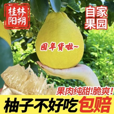广西精品柚子沙田柚货源充足价格实惠产地一手货源