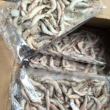 小河虾