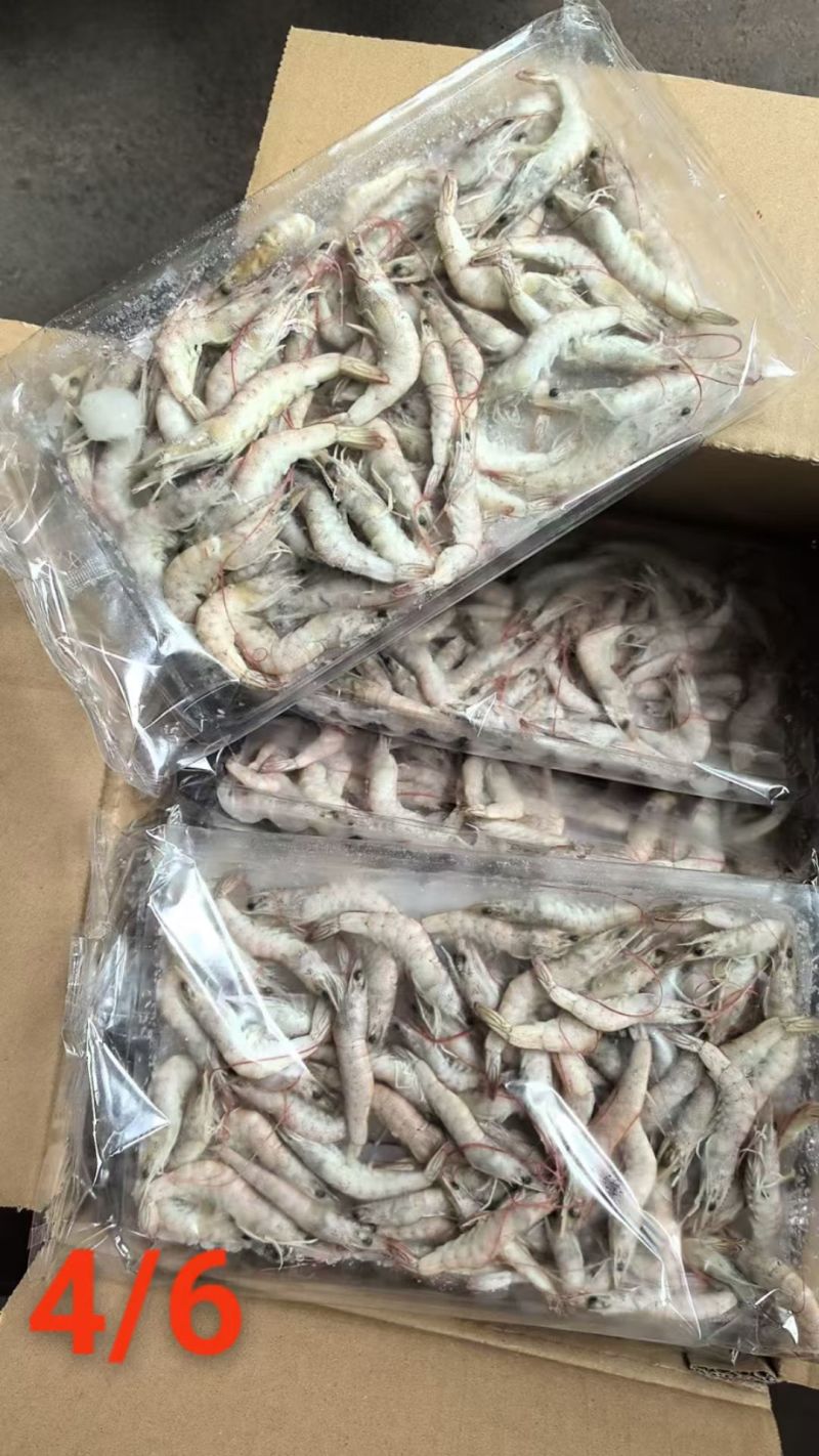 小河虾