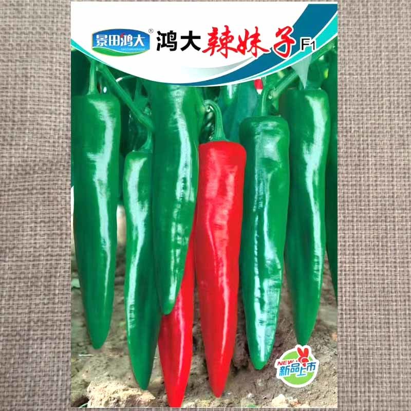 鸿大辣妹子辣椒种子早熟皮色深绿青红椒两用节节有果辣味香浓