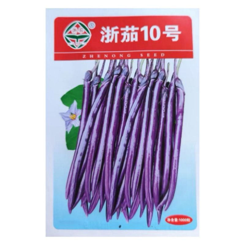 浙茄10号茄子种子杂交早熟杭茄长条线茄种子基地用种